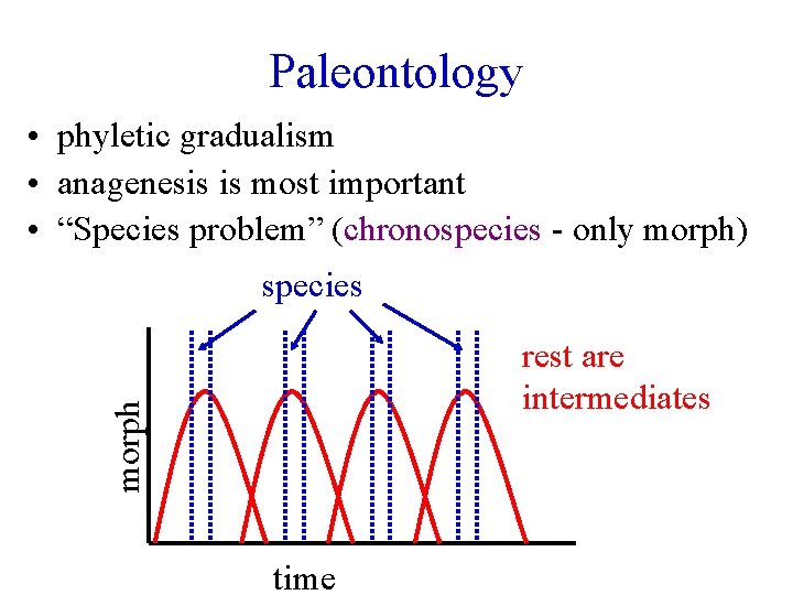 Paleontology • phyletic gradualism • anagenesis is most important • “Species problem” (chronospecies -