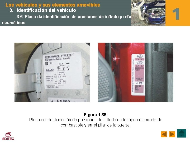 Los vehículos y sus elementos amovibles 3. Identificación del vehículo 3. 6. Placa de