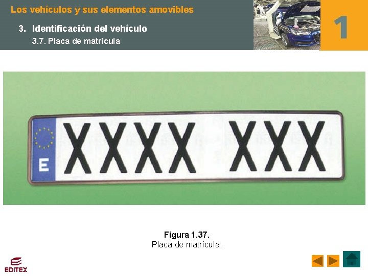 Los vehículos y sus elementos amovibles 3. Identificación del vehículo 3. 7. Placa de