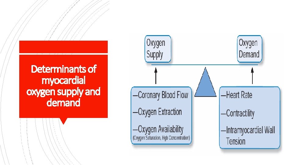 Determinants of myocardial oxygen supply and demand 