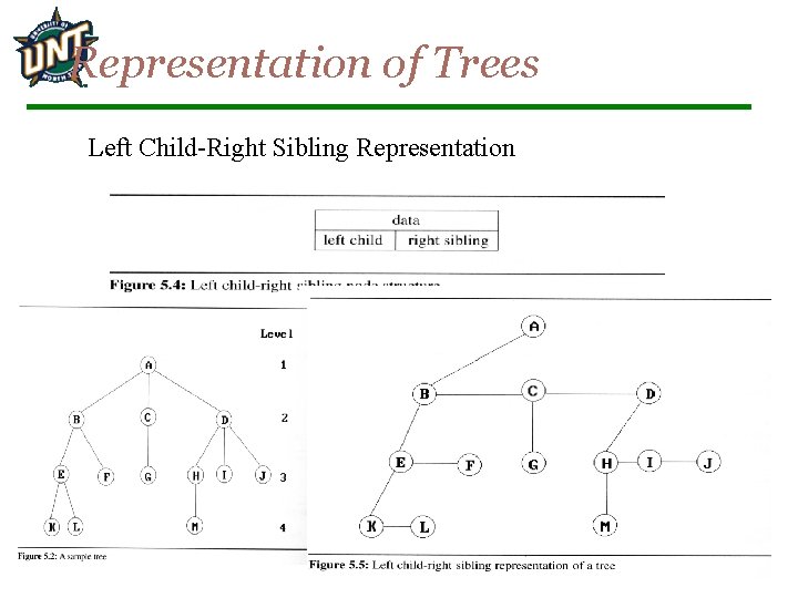 Representation of Trees Left Child-Right Sibling Representation 