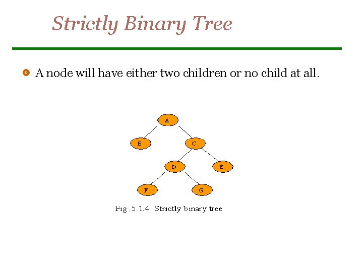 Strictly Binary Tree A node will have either two children or no child at