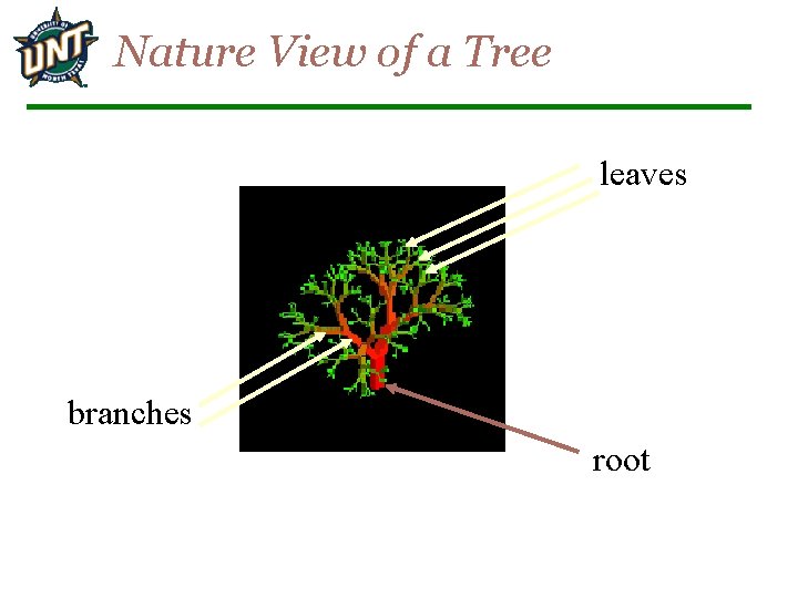 Nature View of a Tree leaves branches root 