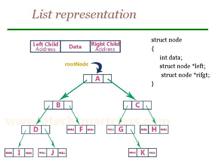 List representation struct node { int data; struct node *left; struct node *rifgt; }