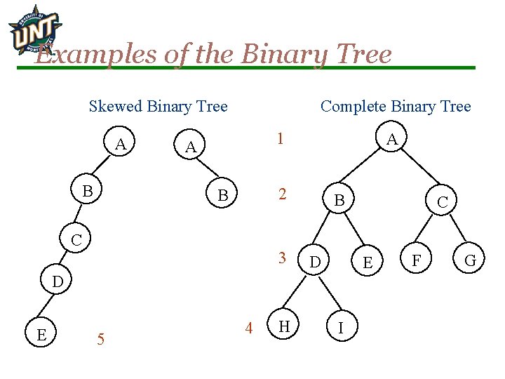 Examples of the Binary Tree Complete Binary Tree Skewed Binary Tree A B 1