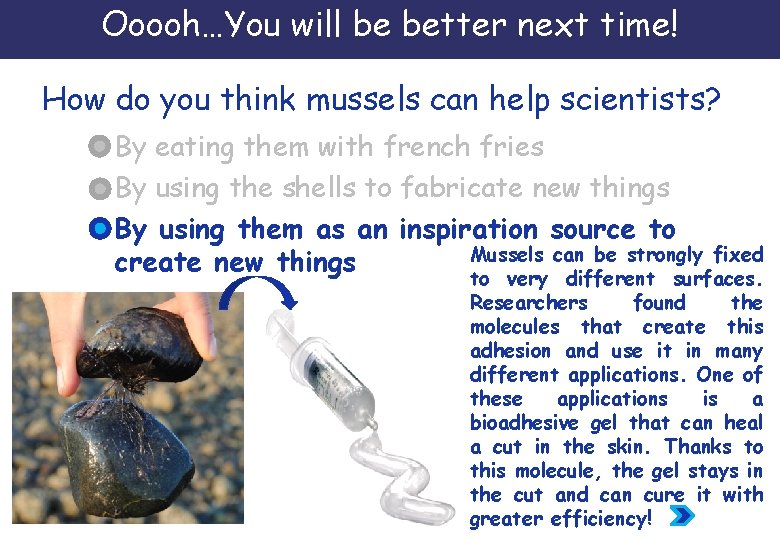 Ooooh…You will be better next time! How do you think mussels can help scientists?