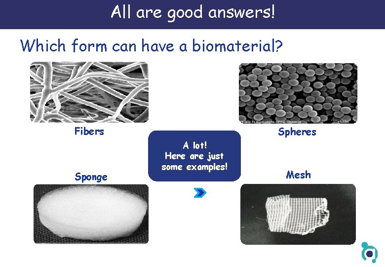 All are good answers! Which form can have a biomaterial? Fibers Sponge Spheres A