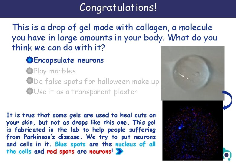 Congratulations! This is a drop of gel made with collagen, a molecule you have