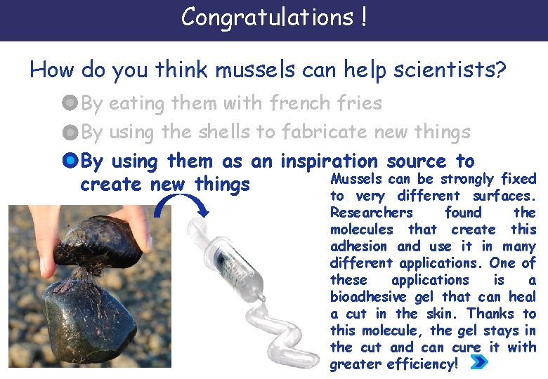 Congratulations ! How do you think mussels can help scientists? By eating them with