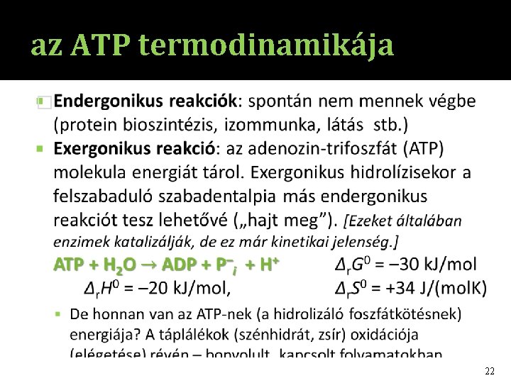 az ATP termodinamikája � 22 