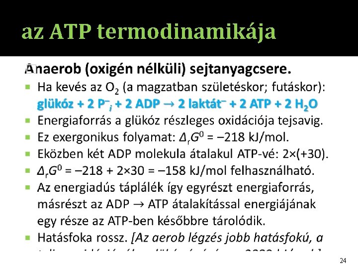 az ATP termodinamikája � 24 