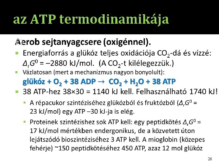 az ATP termodinamikája � 26 