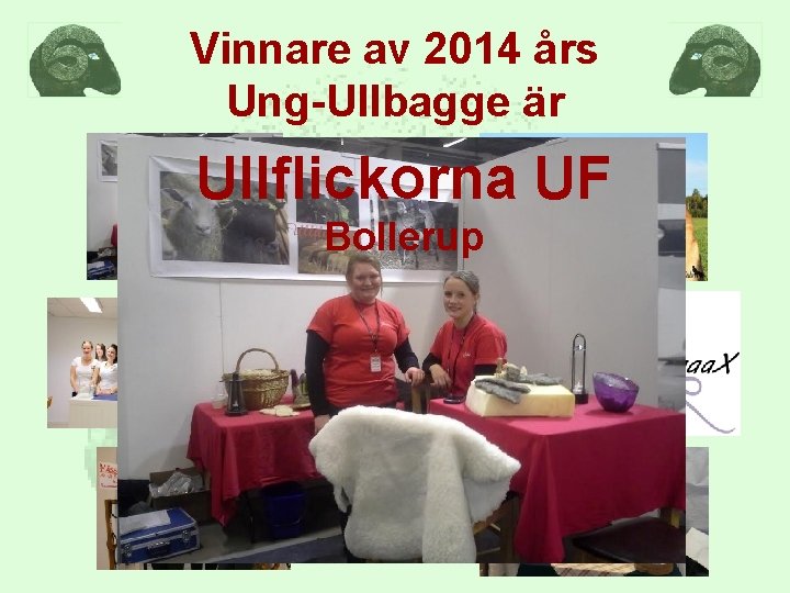 Vinnare av 2014 års Ung-Ullbagge är Ullflickorna UF Bollerup 