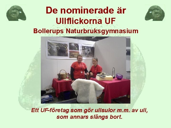 De nominerade är Ullflickorna UF Bollerups Naturbruksgymnasium Ett UF-företag som gör ullsulor m. m.