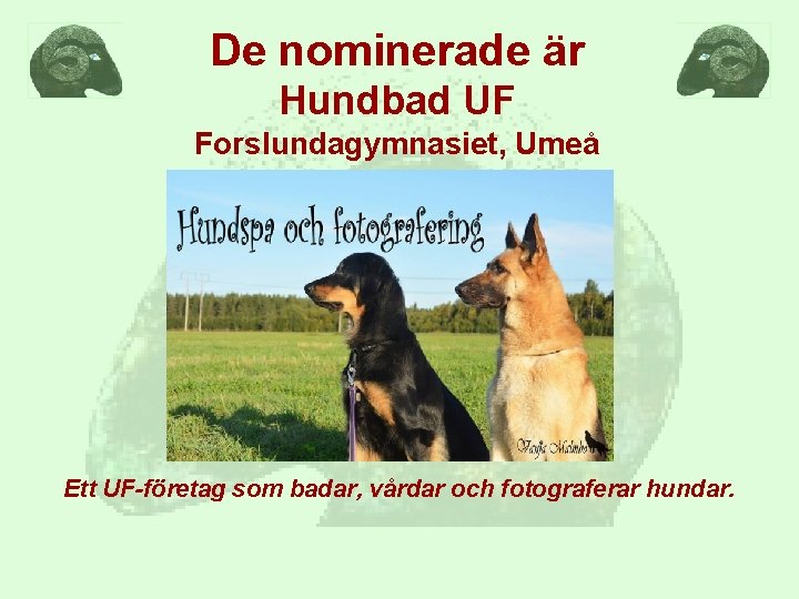 De nominerade är Hundbad UF Forslundagymnasiet, Umeå Ett UF-företag som badar, vårdar och fotograferar