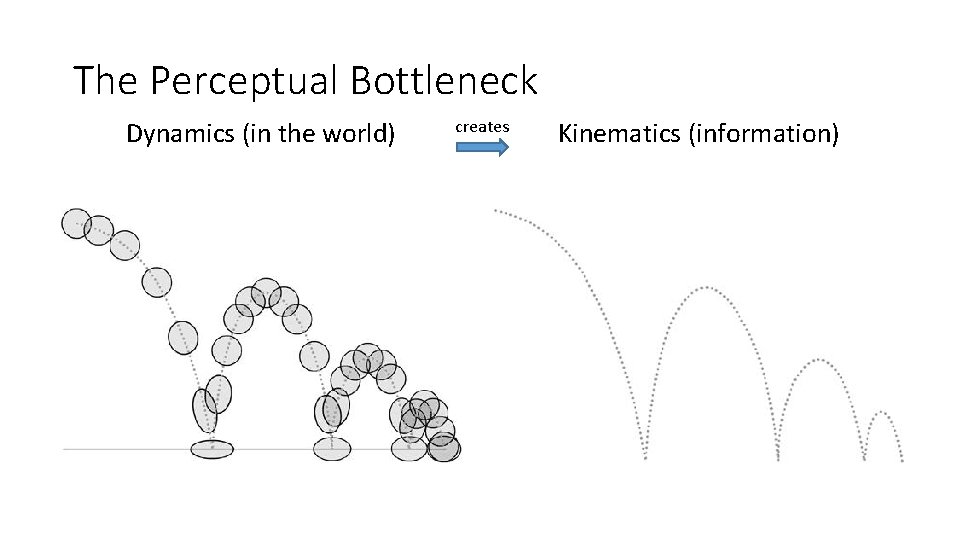 The Perceptual Bottleneck Dynamics (in the world) creates Kinematics (information) 