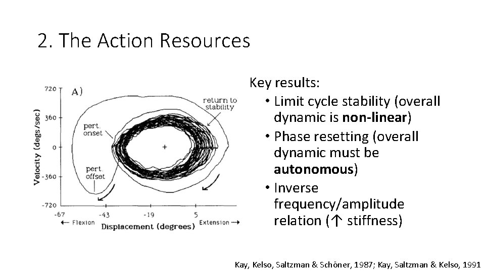 2. The Action Resources Key results: • Limit cycle stability (overall dynamic is non-linear)