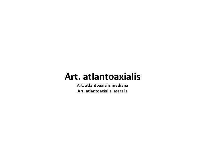 Art. atlantoaxialis mediana Art. atlantoaxialis lateralis 