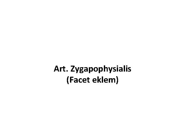 Art. Zygapophysialis (Facet eklem) 