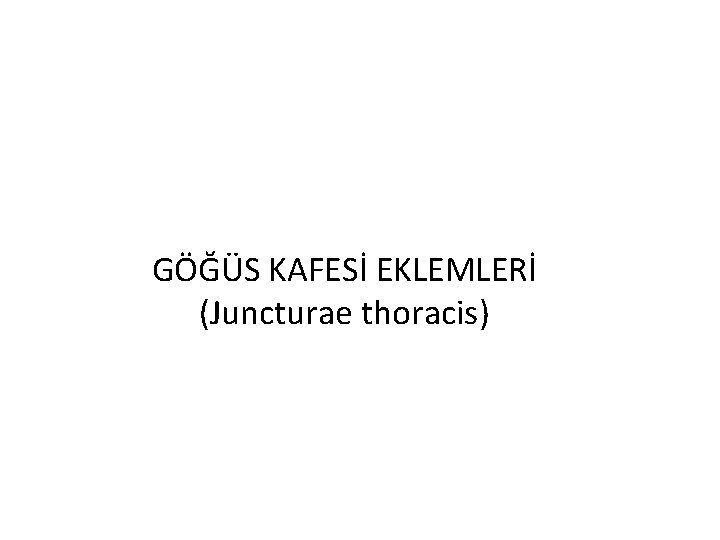 GÖĞÜS KAFESİ EKLEMLERİ (Juncturae thoracis) 