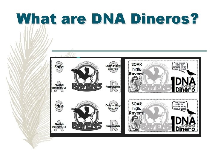 What are DNA Dineros? 