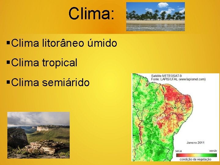 Clima: Clima litorâneo úmido Clima tropical Clima semiárido 