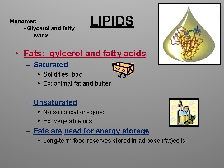 Monomer: - Glycerol and fatty acids LIPIDS • Fats: gylcerol and fatty acids –