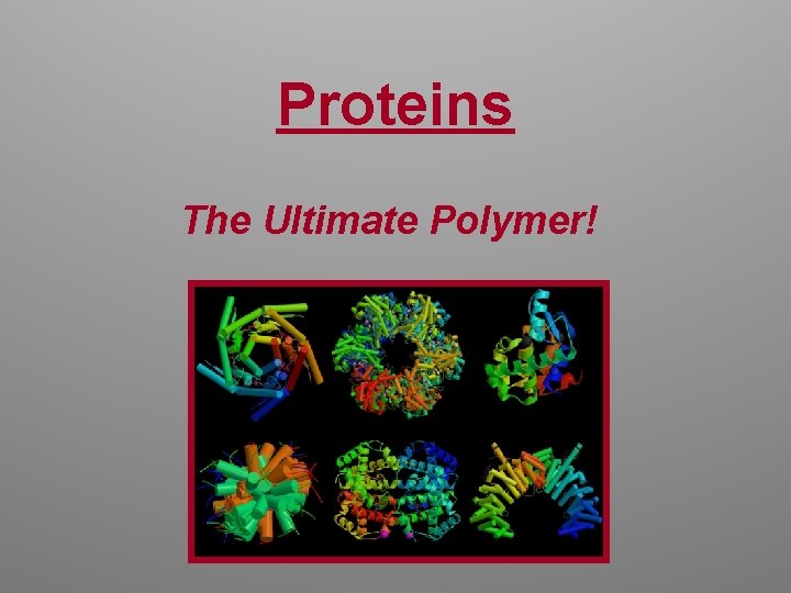 Proteins The Ultimate Polymer! 