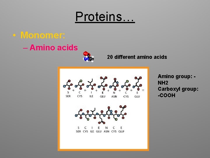 Proteins… • Monomer: – Amino acids 20 different amino acids Amino group: NH 2