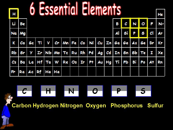 Carbon Hydrogen Nitrogen Oxygen Phosphorus Sulfur 