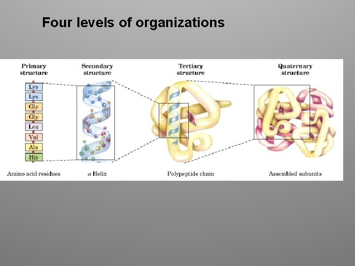 Four levels of organizations 