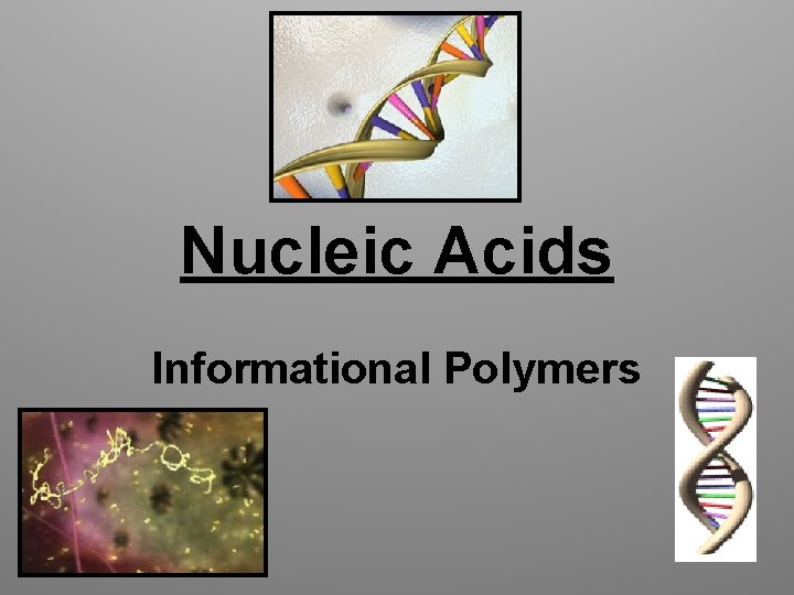 Nucleic Acids Informational Polymers 