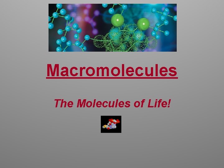 Macromolecules The Molecules of Life! 