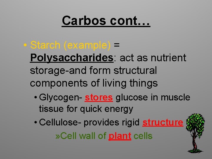 Carbos cont… • Starch (example) = Polysaccharides: act as nutrient storage-and form structural components