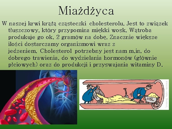 Miażdżyca W naszej krwi krążą cząsteczki cholesterolu. Jest to związek tłuszczowy, który przypomina miękki