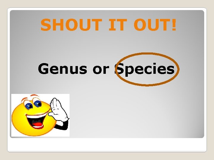 SHOUT IT OUT! Genus or Species 