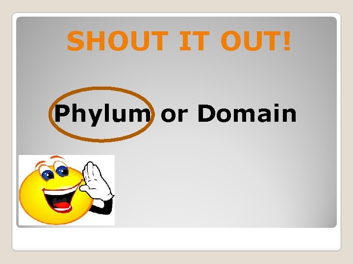 SHOUT IT OUT! Phylum or Domain 
