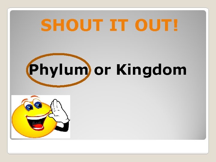 SHOUT IT OUT! Phylum or Kingdom 