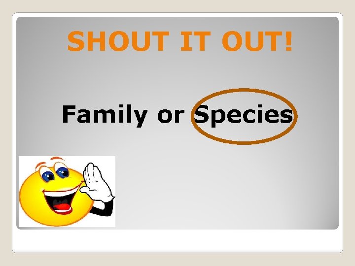 SHOUT IT OUT! Family or Species 
