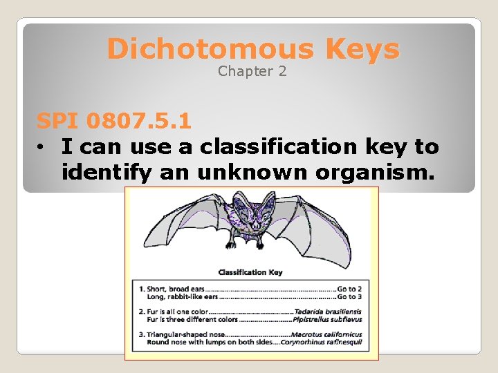 Dichotomous Keys Chapter 2 SPI 0807. 5. 1 • I can use a classification