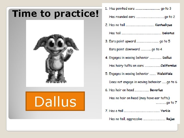 Time to practice! Dallus 