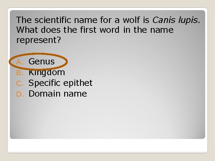 The scientific name for a wolf is Canis lupis. What does the first word