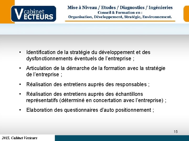  • Identification de la stratégie du développement et des dysfonctionnements éventuels de l’entreprise