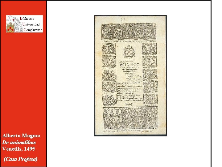 Alberto Magno: De animalibus Venetiis, 1495 (Casa Profesa) 