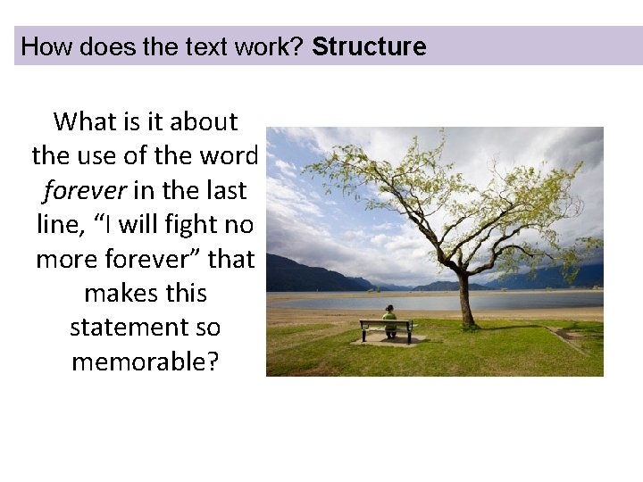 How does the text work? Structure What is it about the use of the