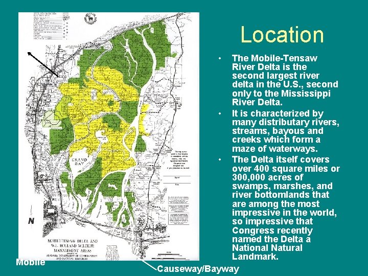 Location • Mobile The Mobile-Tensaw River Delta is the second largest river delta in