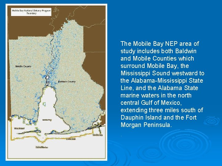 The Mobile Bay NEP area of study includes both Baldwin and Mobile Counties which