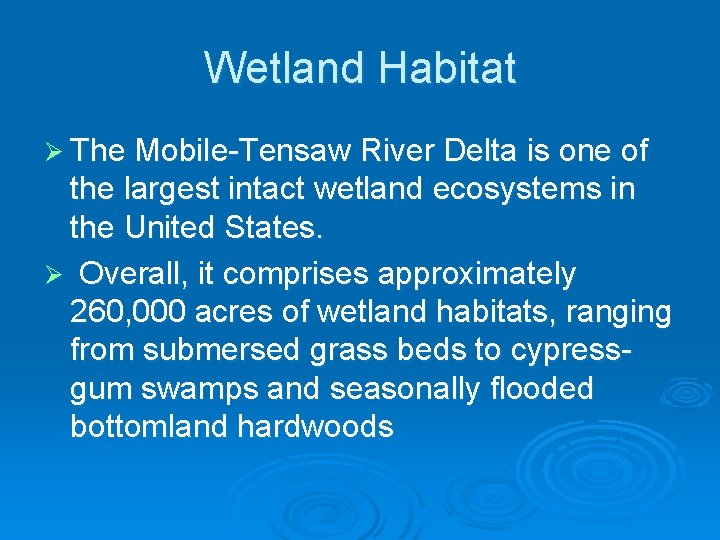 Wetland Habitat Ø The Mobile-Tensaw River Delta is one of the largest intact wetland