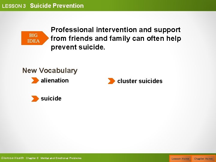 LESSON 3 Suicide Prevention BIG IDEA Professional intervention and support from friends and family