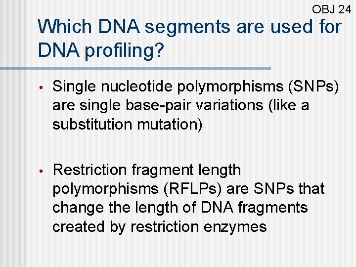 OBJ 24 Which DNA segments are used for DNA profiling? • Single nucleotide polymorphisms